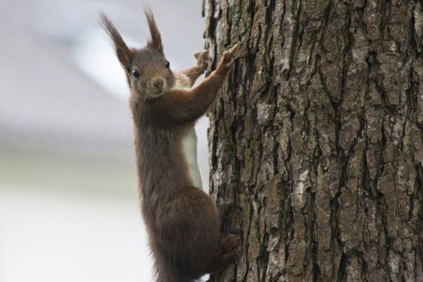 新婚双子座如何过2023新年 有何注意事项