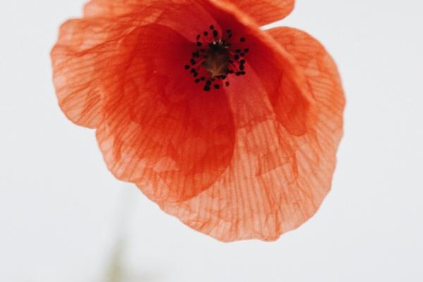 投资发展公司取名字 开公司取名字大全集