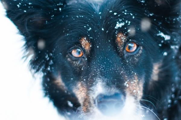 他们看透人情冷暖!但不让自己变得世故,能保持纯真的星座