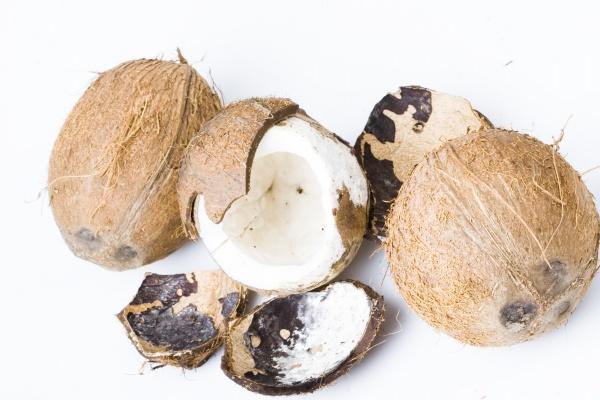 双鱼座在2023年运势分析 事业上升 财运平稳