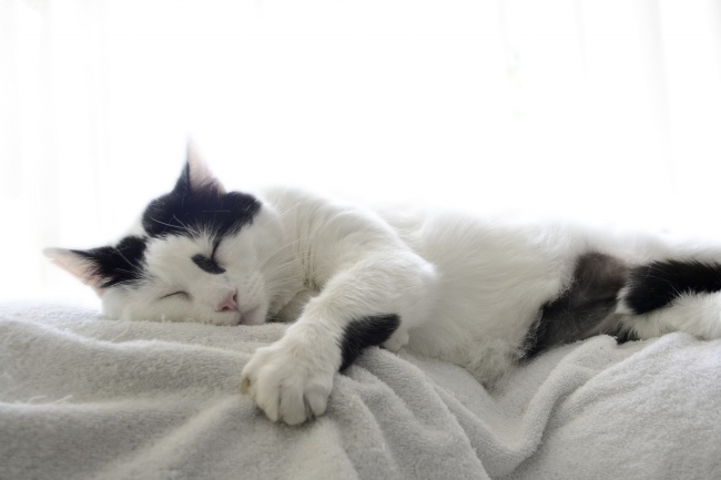 新婚射手座如何过2023新年 有何注意事项