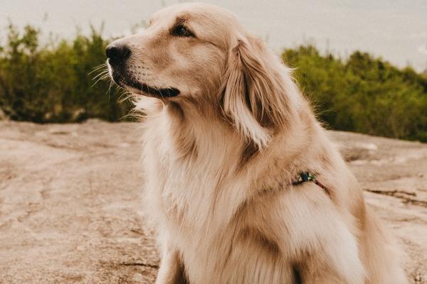 三个字大气公司名字 公司起名参考大全