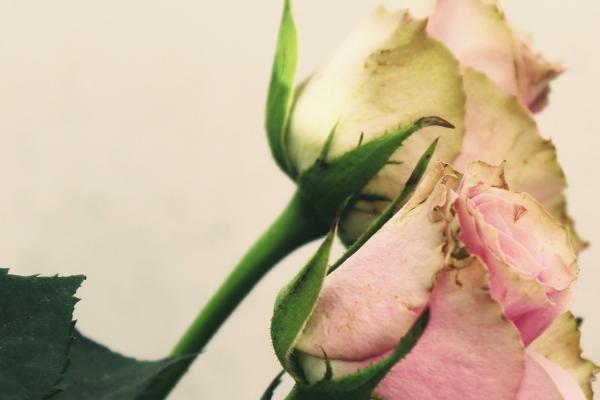 三个字最新建材店名大全 寓意好的建材公司名字大全