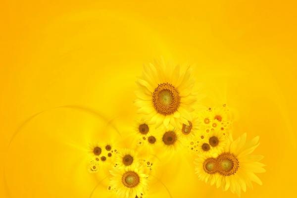 五行属水招财的公司名字 公司起名字大全免费