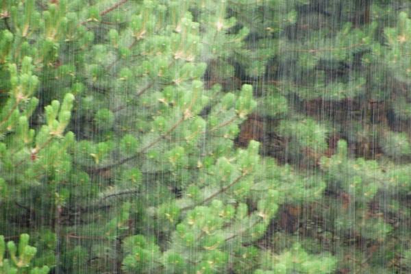 2023年1月10日是开业吉日吗 可否大展宏图前程似锦