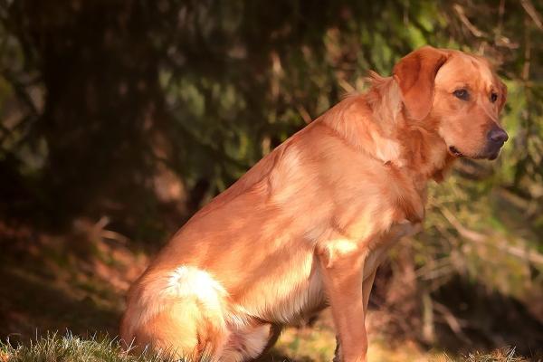 生辰八字查询:2023年农历正月初八这天出生八字是什么