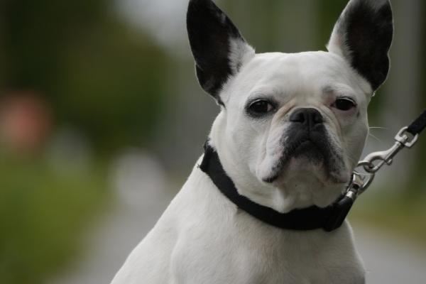 生辰八字查询:2023年农历正月初十这天出生八字是什么