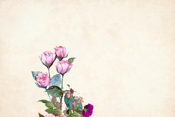 命中有几个孩子查询 八字如何看一生几个孩子