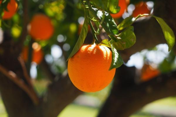 劫财男跟什么人最配 为什么劫财男喜欢七杀女