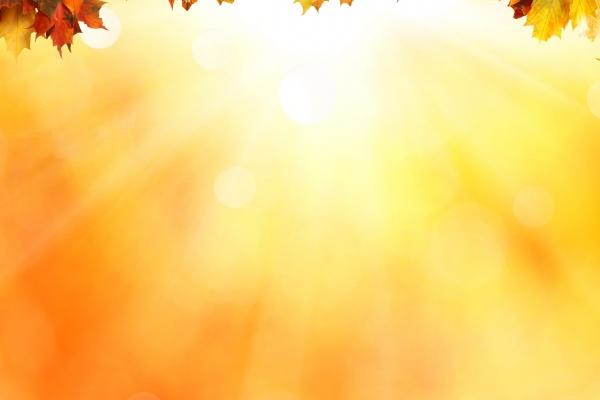 闹闹女巫  12星座今日运势1219