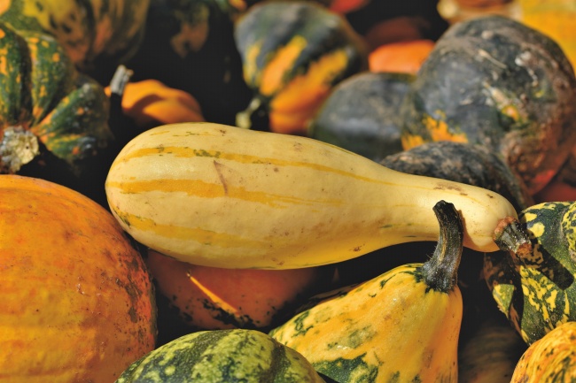 天干乙木的特点