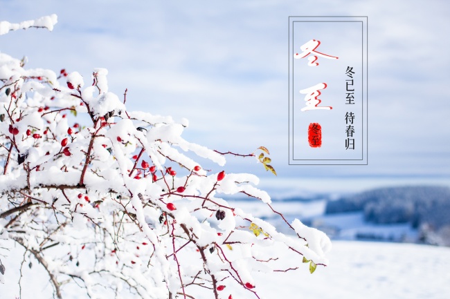 狂月天时 每日星座运势1221