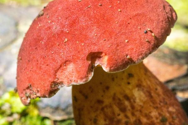 好记顺口的公司名称 儒雅大气的公司名字