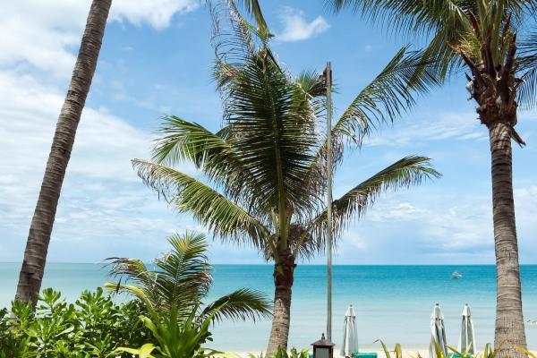 最吉利旺财的公司名字2个字 公司起名参考大全