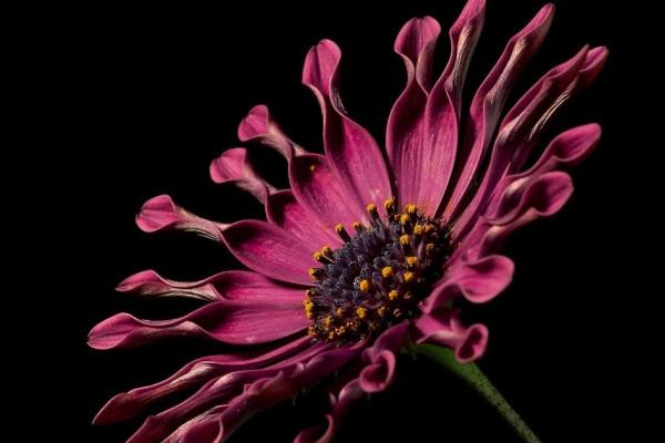 冬至出生的人一般命里缺什么 冬至出生的五行八字分析