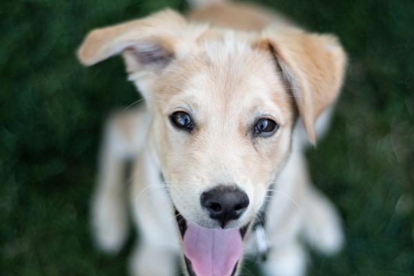 2023年五行属什么最旺 2023年流年运势推算