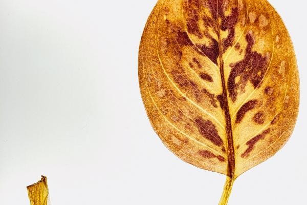 2023春节到!3星座偏财运将至收益颇丰