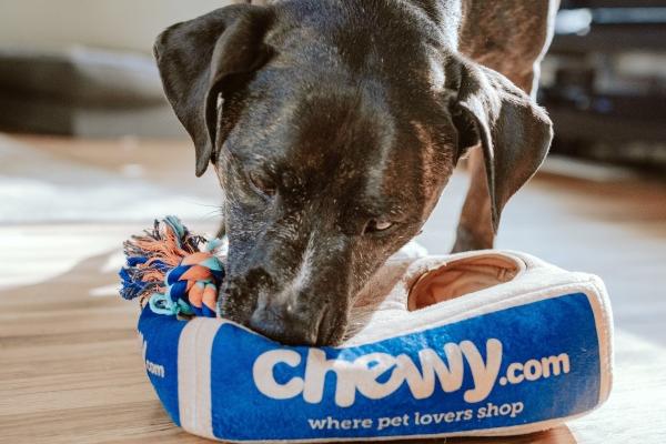 12星座2023大年初三 如何选择旺财的打牌财运方位