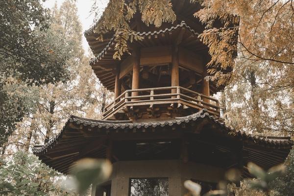 2023年五行查询表 2023年五行属性对照表完整版