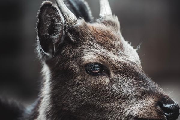 2023年1月9日宝宝出生的五行缺什么 本日出生火主礼则为人谦和