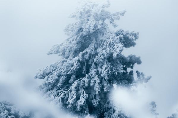 2023年除夕夜婚姻运直线上升的星座 得到极大安全感