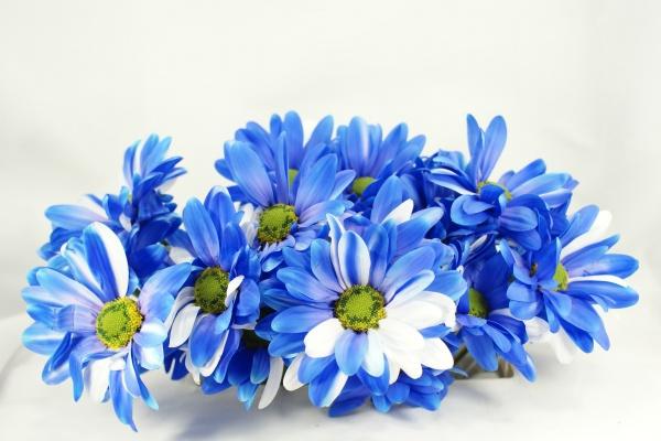 2022虎年冬至出生的小孩命格如何 富贵之人事业有成