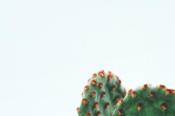 2023年五行什么行业旺 行善积德 救死扶伤