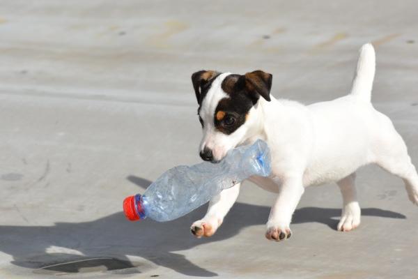 2023年父亲节财运暴涨的星座  财富巅峰