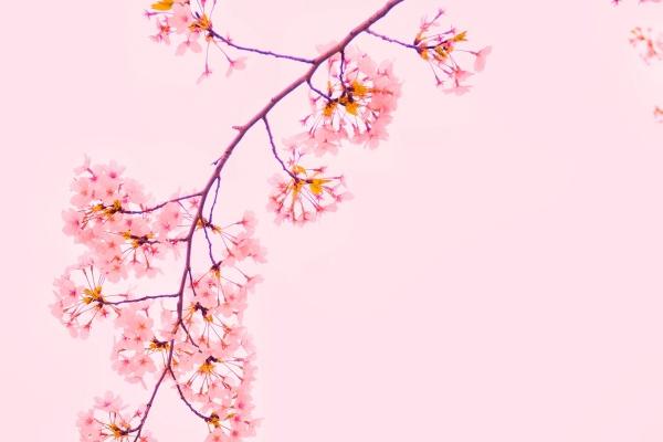 旅游公司取名推荐 旅行公司名字大全参考