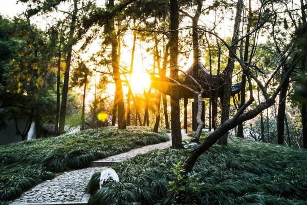 2023年小满健康运爆棚的星座 事关寿命长短