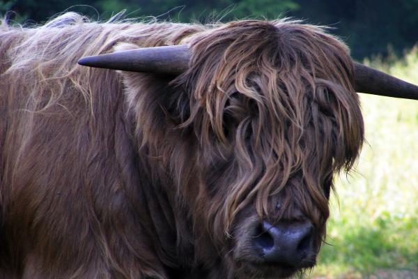 旅游公司名称大全简单大气 旅游公司名字创意