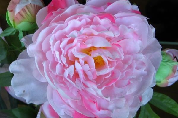 未注册过的好听的三字商标名 最吉利旺财的公司名字