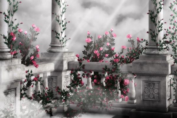 处女座元宵节后的感情走势如何 详细分析