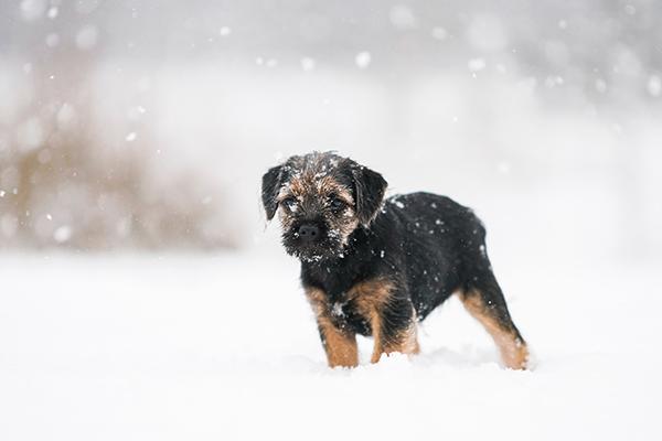 腊月初七出生的男孩命运怎么样 属于长寿康泰命格