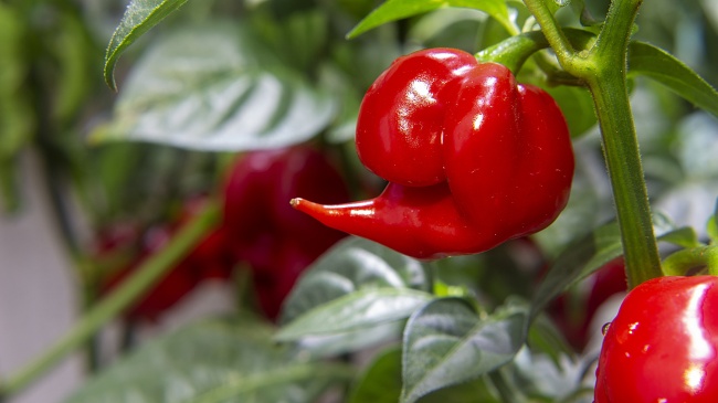 2023年天蝎女财运怎么样详情分析 财富建议