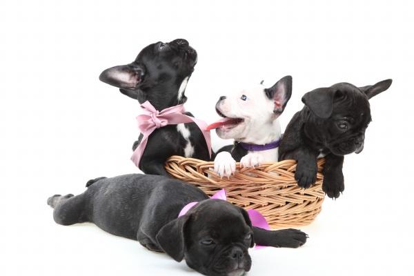 2023年天蝎女偏财运状况如何  怎样提升