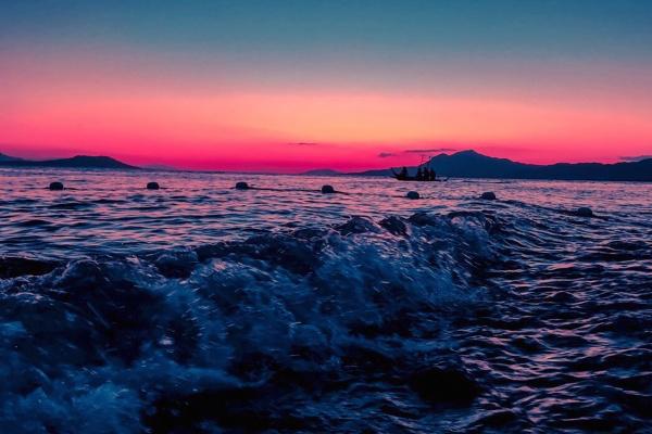 属兔水瓶座2023本命年的爱情 单身者更旺