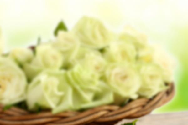 公司名称三个字的名字 聚财的公司名字三个字