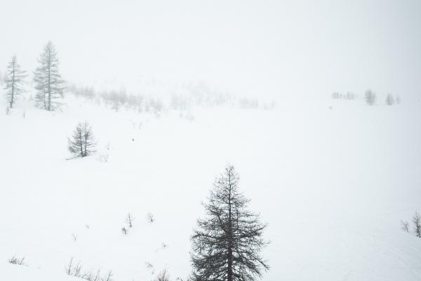 水瓶座2023年婚姻运1月情况  起伏较大