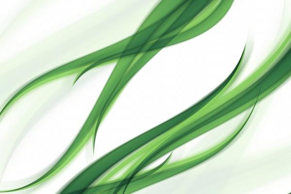 属羊的女孩腊月生日怎么样 腊月生怎么提运