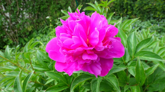 为什么说腊月十九不好女 女孩几月出生最好