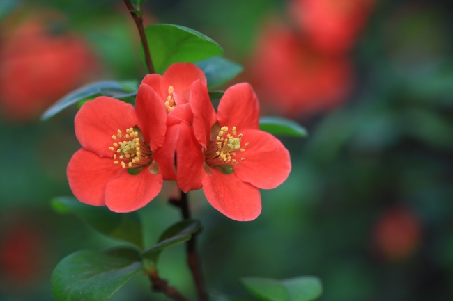 晚婚必嫁贵夫女八字 晚婚容易嫁给有钱人的八字