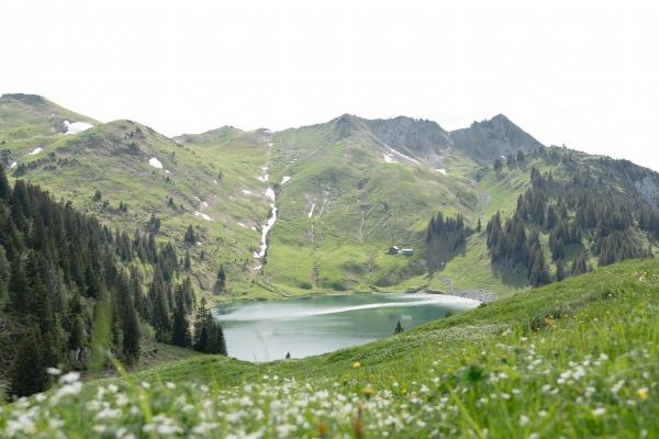 2023年农历正月十二出生的男宝宝五行缺什么,命运如何