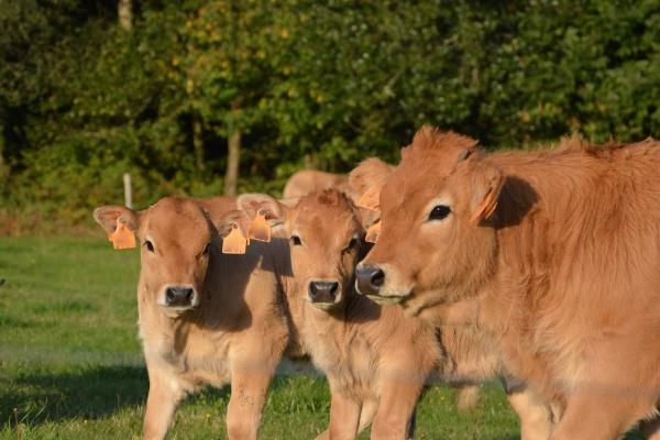 2022年腊八节出生的宝宝 出生的孩子哪个时辰好