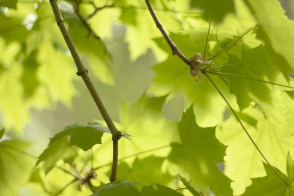 2023春节期间运势有点差的四个星座 如何解决