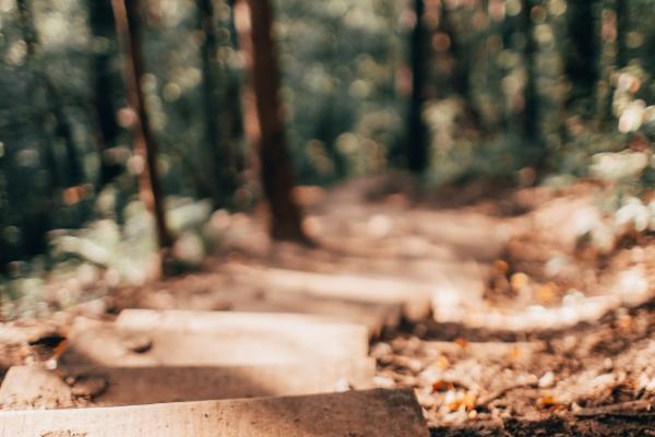 2023最新公司起名 吉祥大气的企业名称