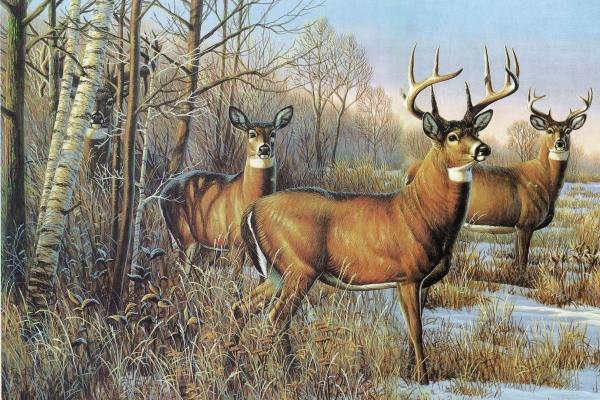 2023年除夕当天出生是什么星座 喜欢探索新鲜事物