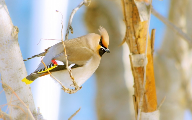农历2023年正月十四出生的女宝宝好吗,五行旺缺查询