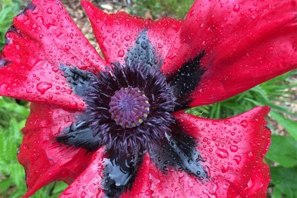 2023年公司起名 个体户取名字大全