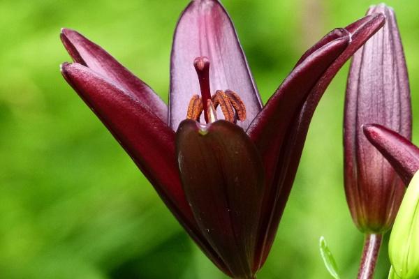 巨蟹座在2023年春节前后会遇到烂桃花吗 感情意识不佳